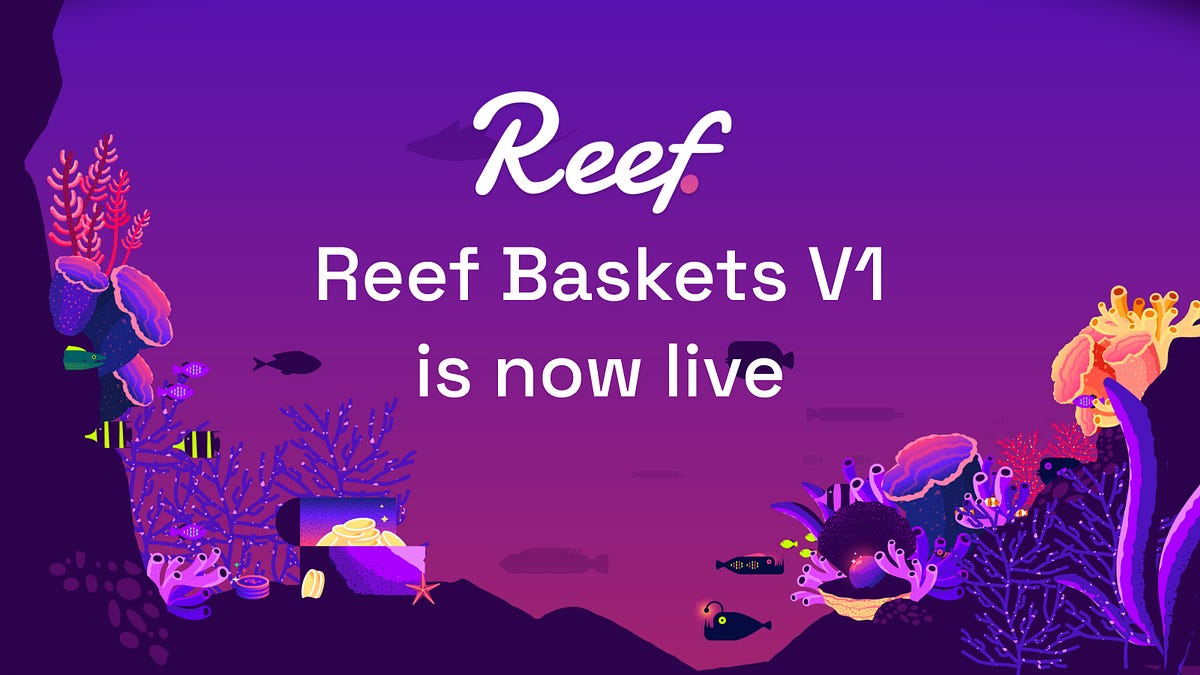 Introducing Reef Baskets to manage and optimize investments