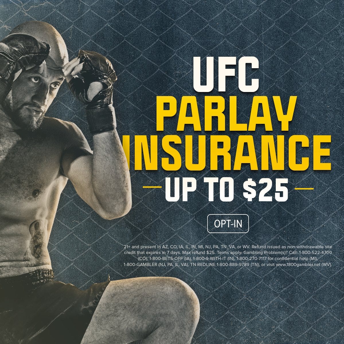 app ufc combate