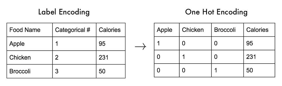 understanding-the-difference-between-label-encoding-and-one-hot