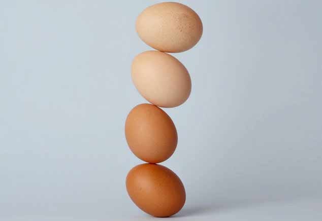 bayesian neural networks pytorch