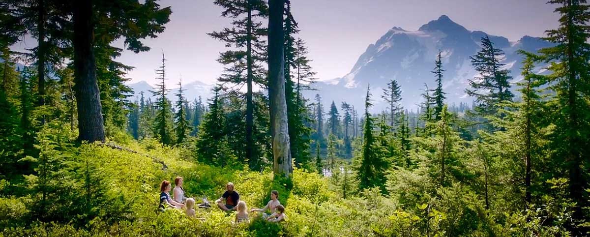 How To Become Captain Fantastic I Hadn T Been So Enchanted By A Movie By Emmanuelle Usifo Bohemedigitale Medium