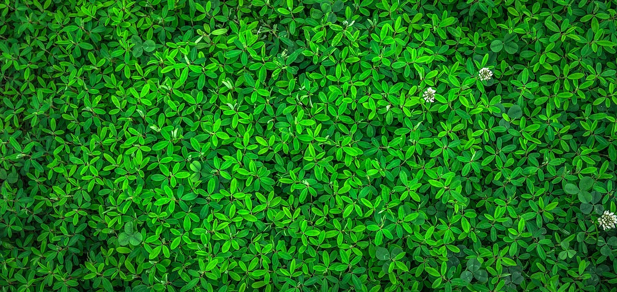 vert