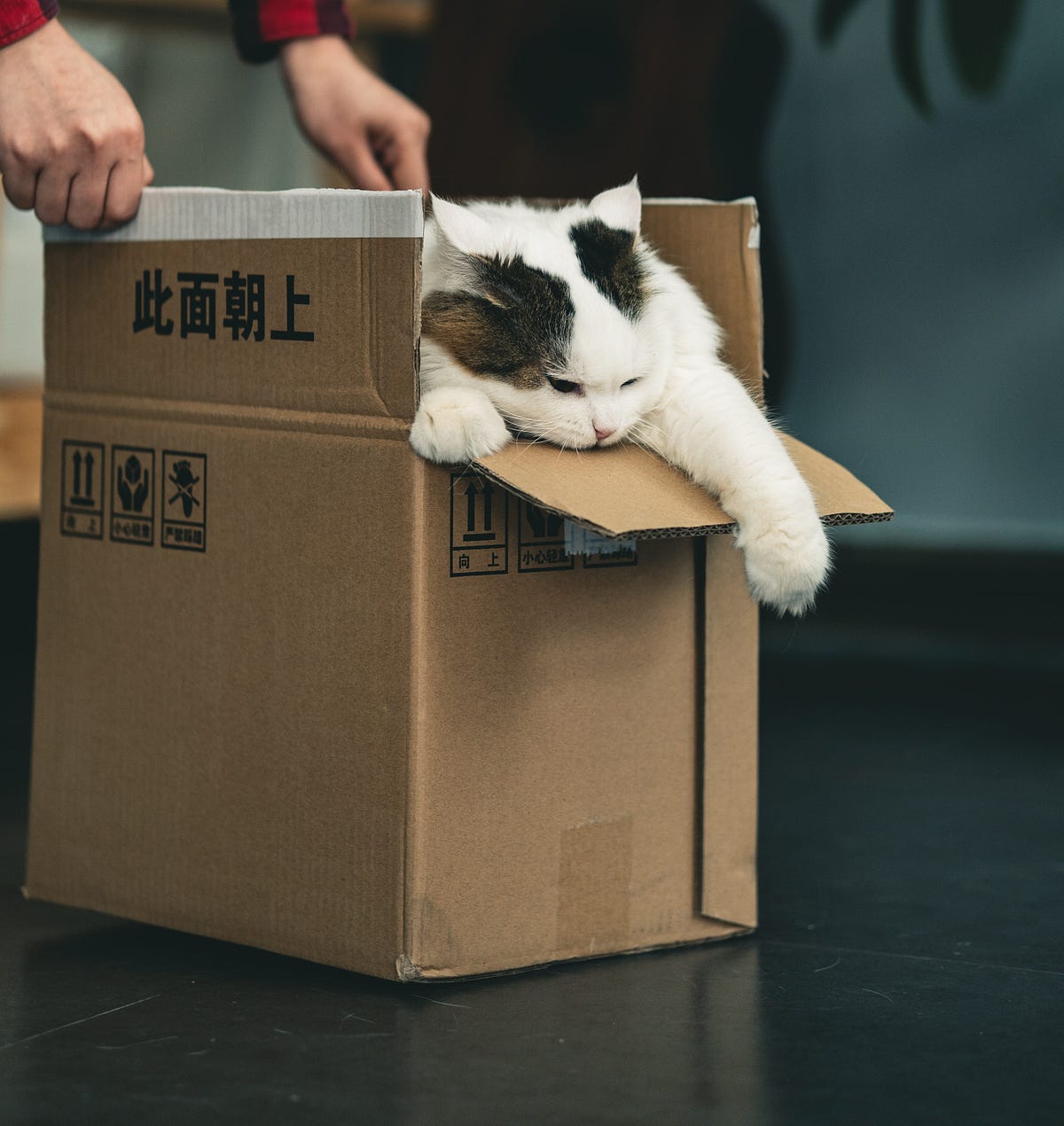 Variables In Code Are They Really Boxes For Data By Eric