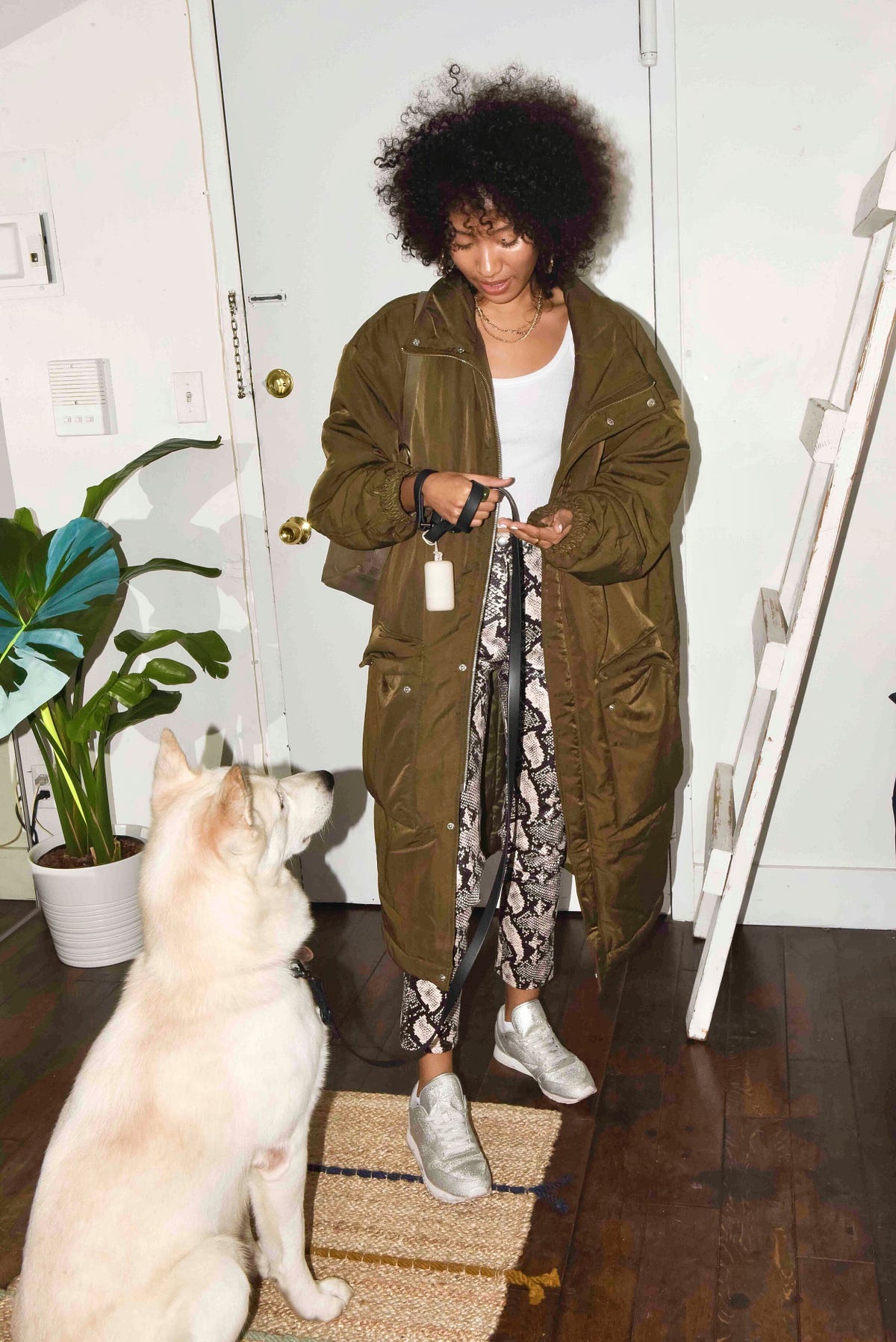 I carry a lint roller everywhere (and why if you’re around dogs that