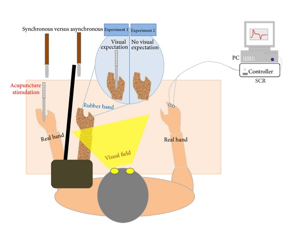 The rubber hand experiment from Thomas Metzinger’s The Ego Tunnel: The Sciene of the Mind and the Myth of the Self