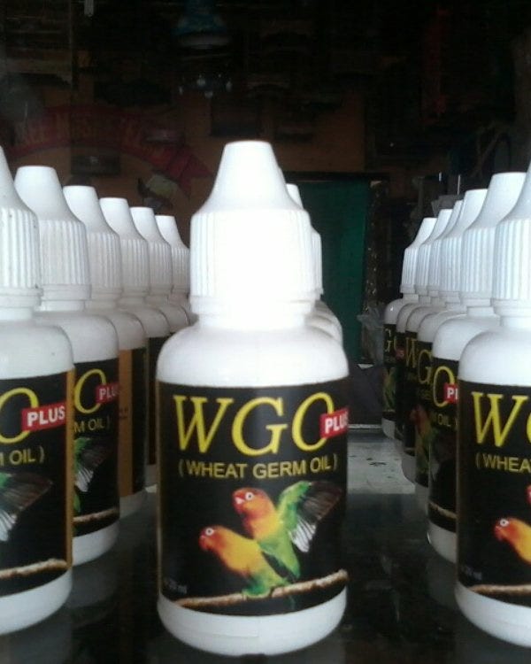 0813 2934 1545 Jual Vitamin Agar Lovebird Cepat Bertelur Vitamin