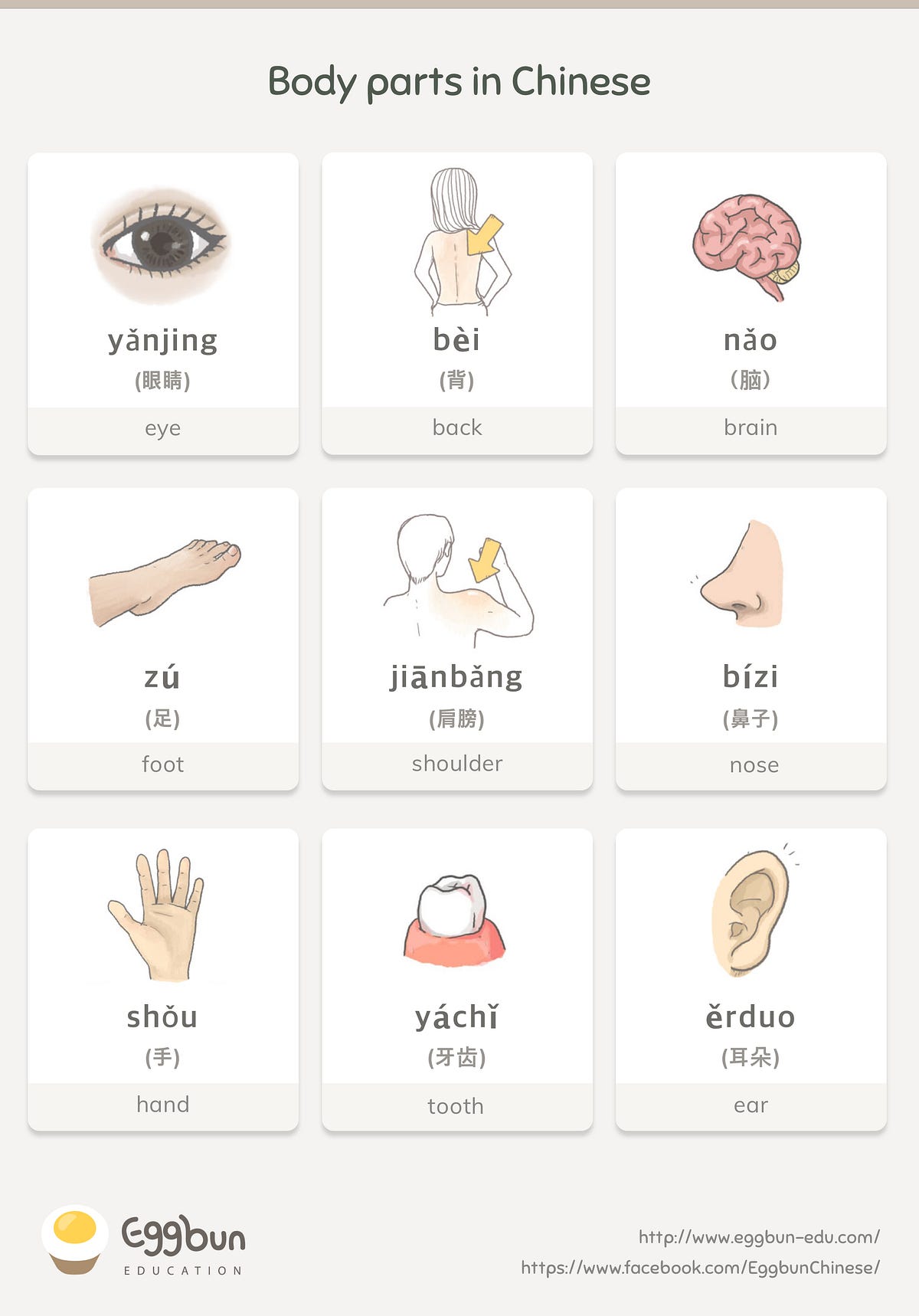 Body Parts in Mandarin Chinese. Have you got that? Let's learn more… | by  Chris Lee | Story of Eggbun Education | Medium