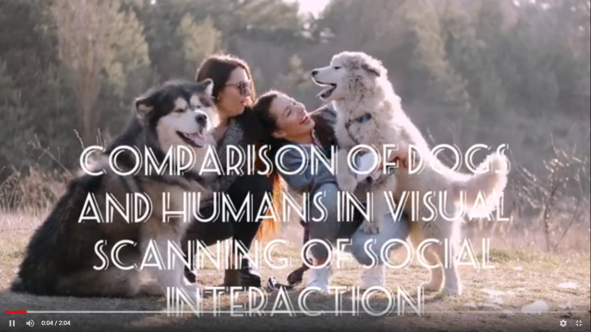 Comparison of dogs and humans in visual scanning of social interaction ...