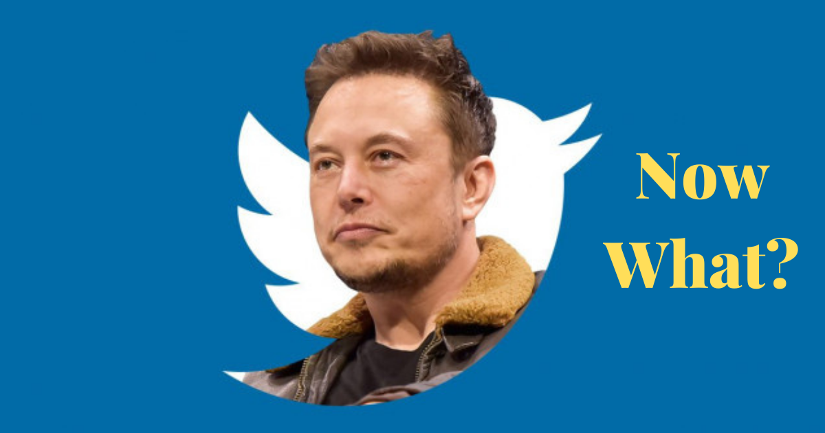 Elon Musk Bought Twitter, Now What? | Business Beginnings