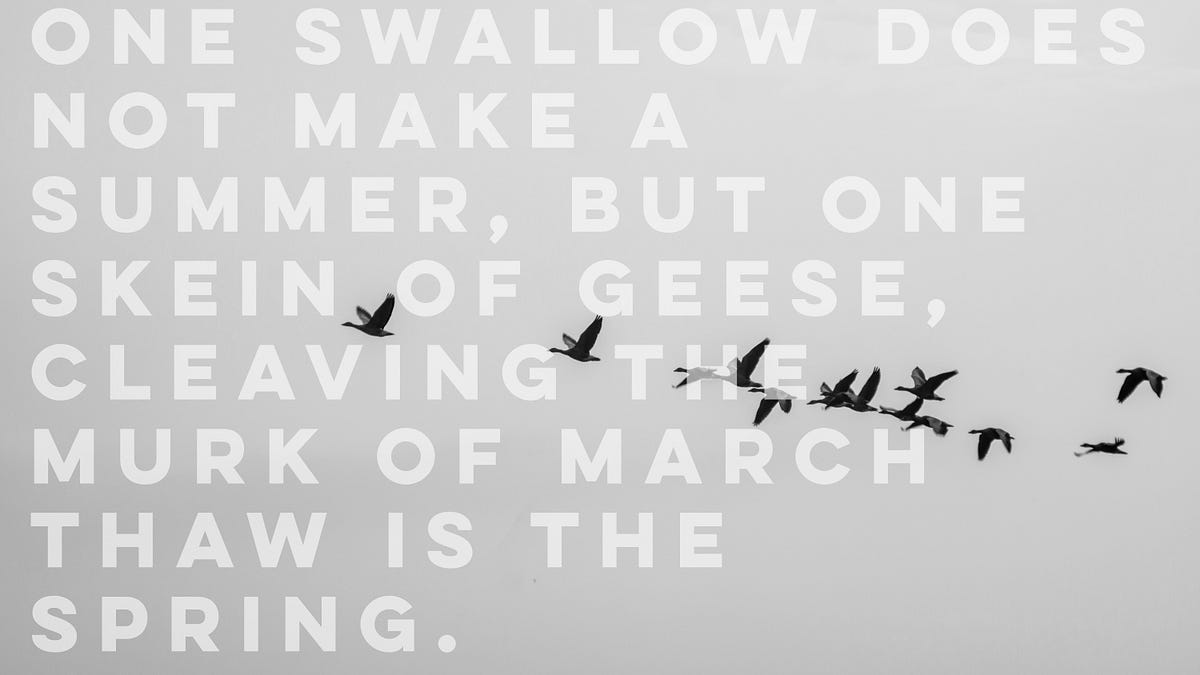 XXXIII. Spring. Today’s sodden skies could easily… | by Thos Trefz ...