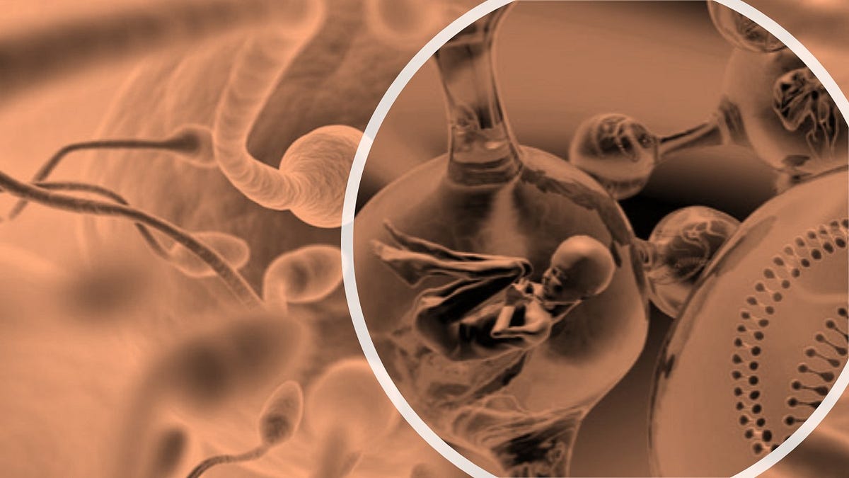 Assisted Reproductive Technology Opens New Avenues For Women Trying To Conceive by Dhruv Singh Assisted Reproductive Technology Opens New Avenues For Women Trying To Conceive by Dhruv Singh