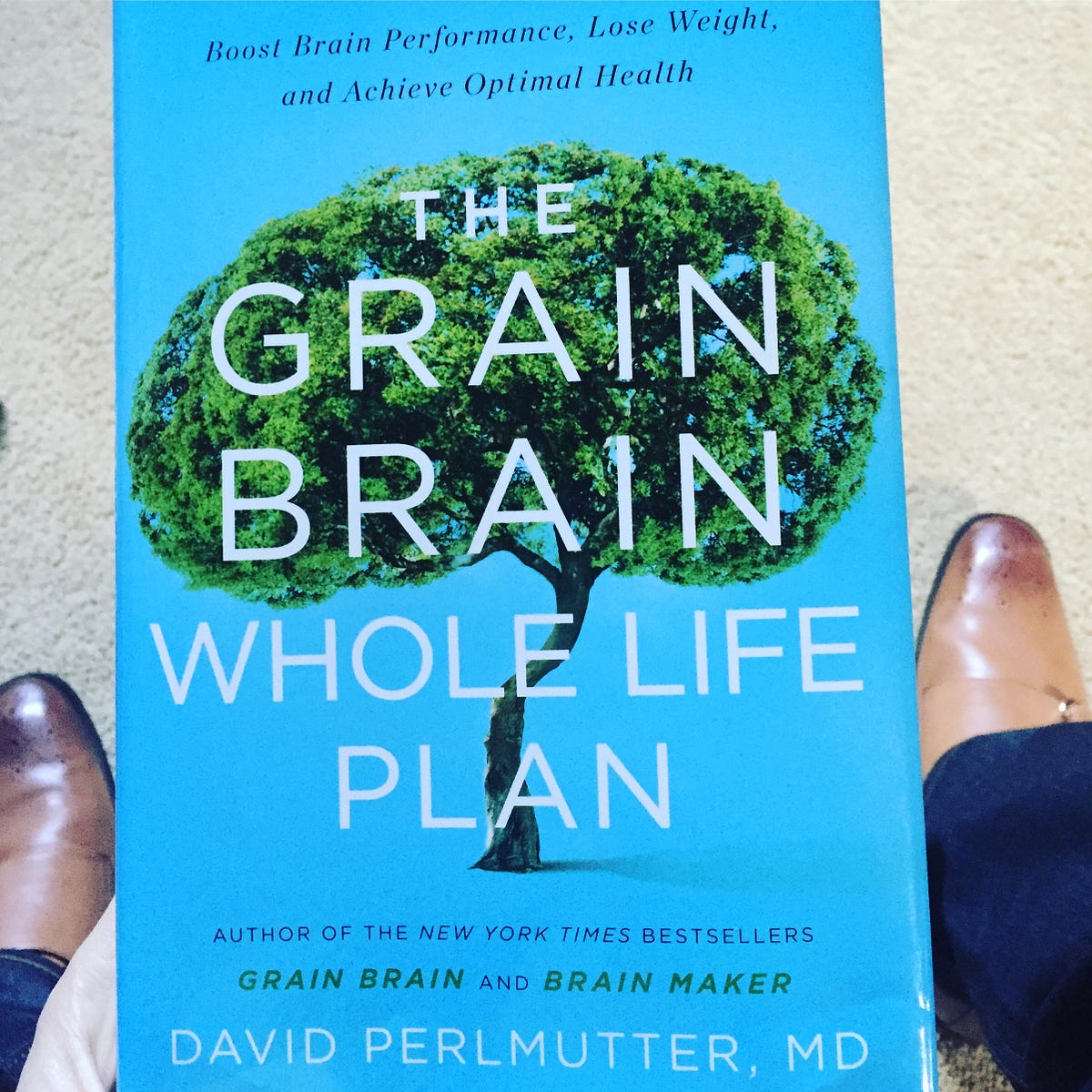 the-grain-brain-whole-life-plan-i-just-finished-up-dr-david-by