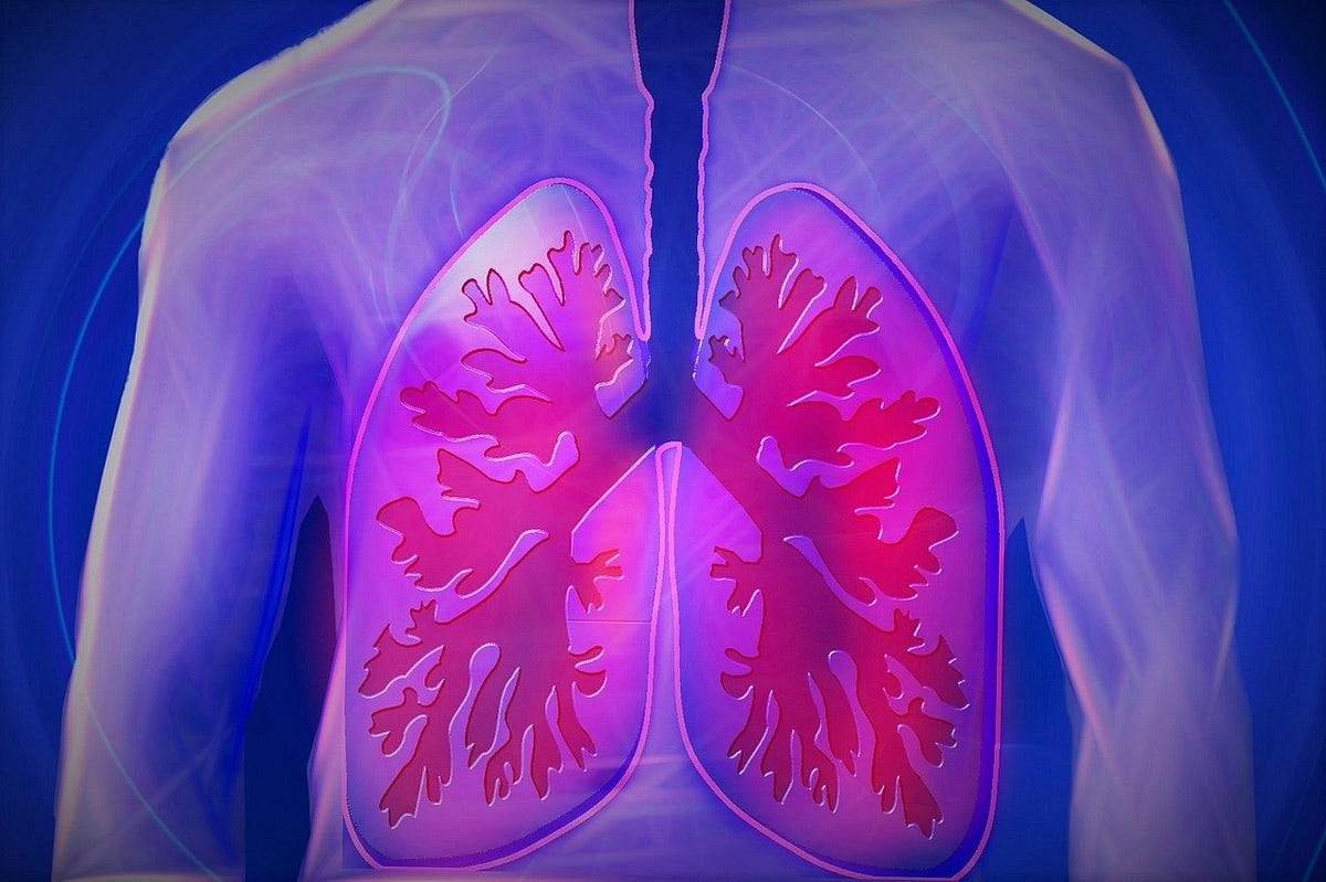 Respiratory Response Supplements. Ensure Your Ability to Breathe Easily by Meta Labs Inc Medium