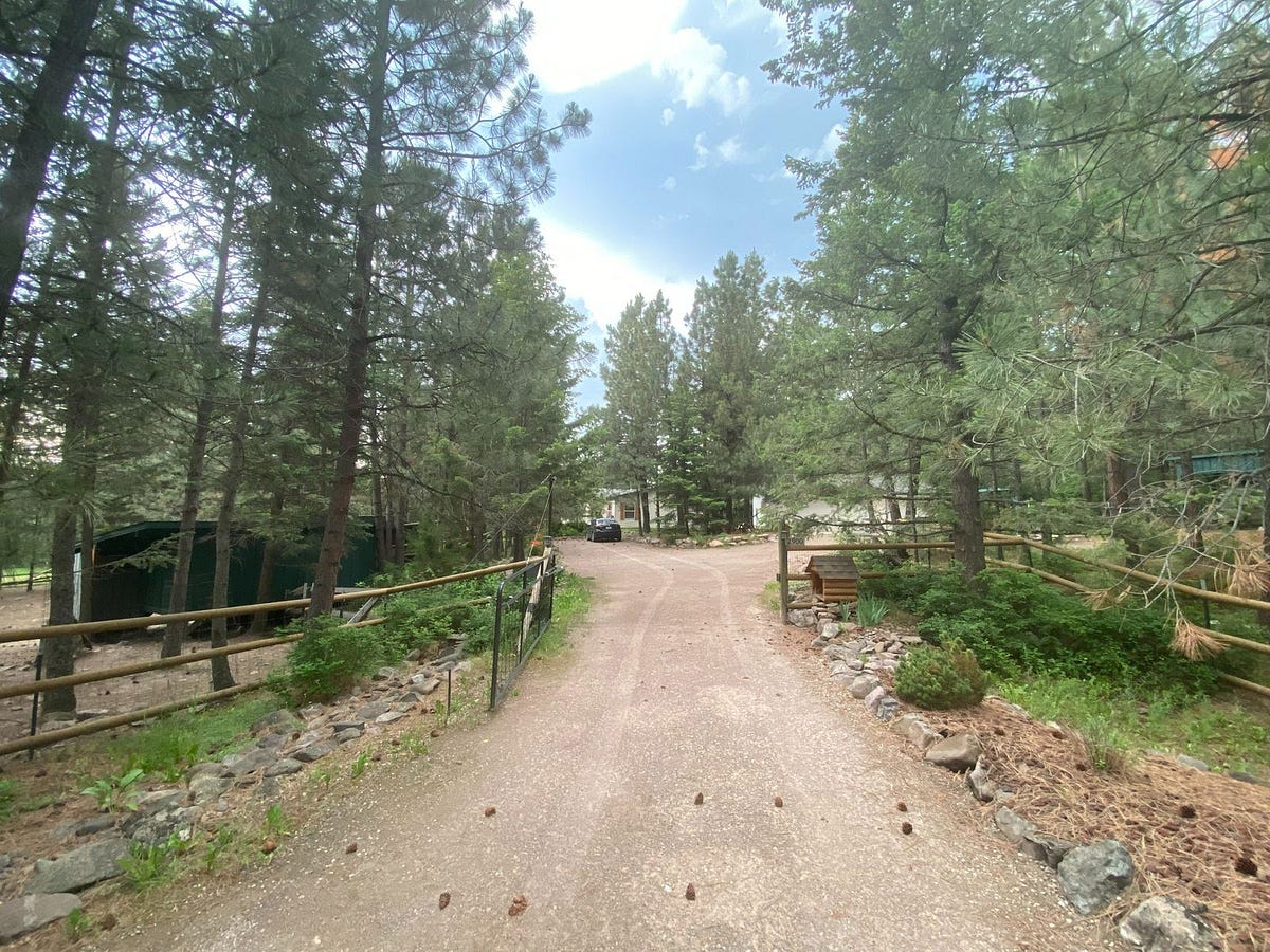 From Dallas-Fort Worth to The Forest | by Dropbox | Life Inside ... - Medium