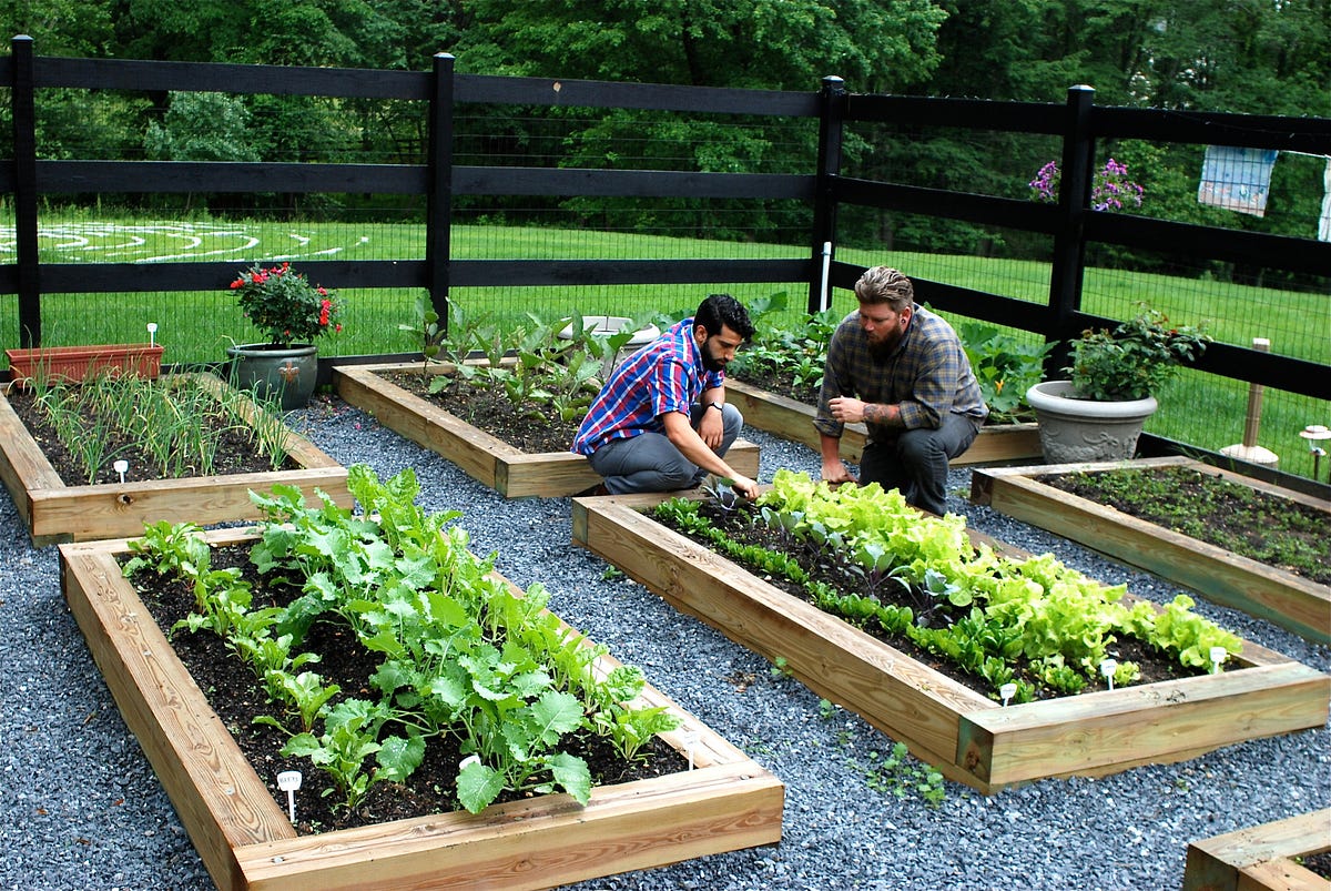 Virginia Drug Rehab. Sagebrush Treatment Center by Vanessa