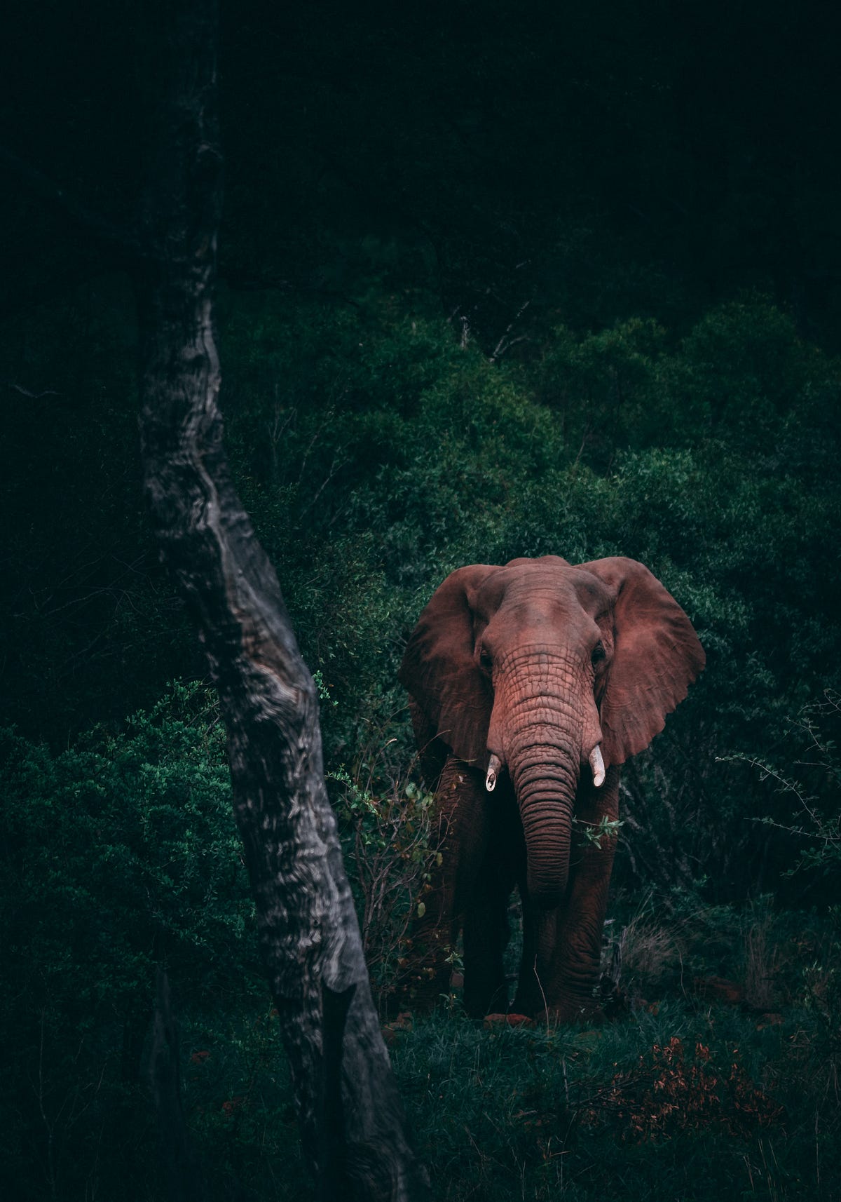 Indexes, Views, and Triggers in PostgreSQL | Learning SQL