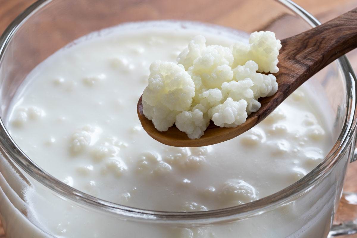 Is it worth it to drink kefir at night | by rahul kakkar | Medium