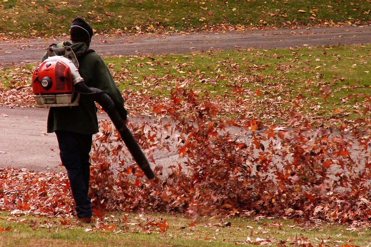 The Gas Powered Leaf Blower Is the Most Polluting Yard Tool Ever Invented
