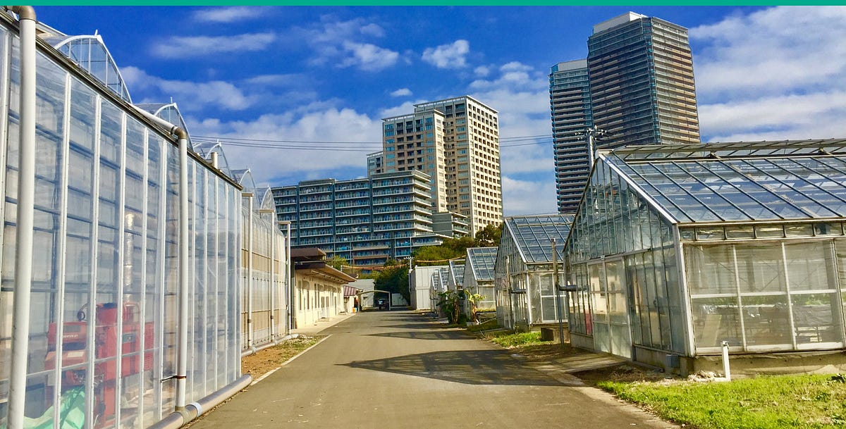 Site Visit — Japan Plant Factory Association (JPFA) by