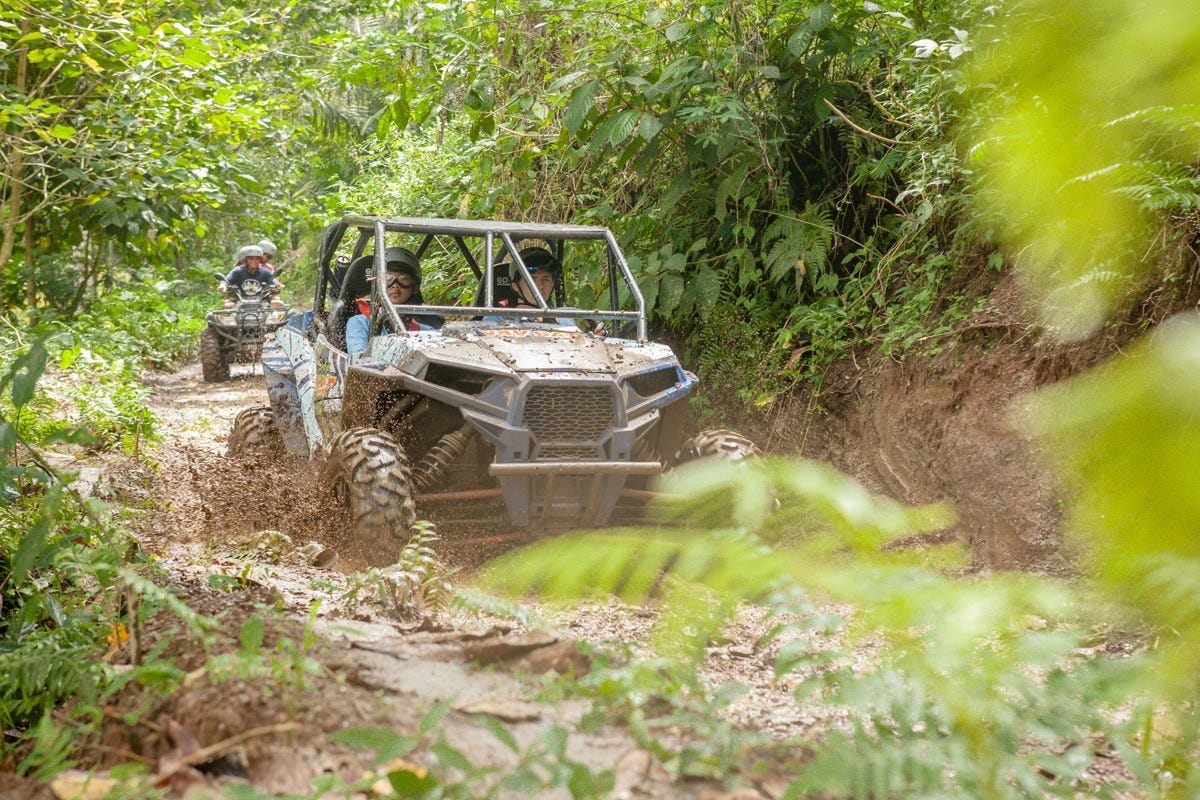 buggy off road adventure