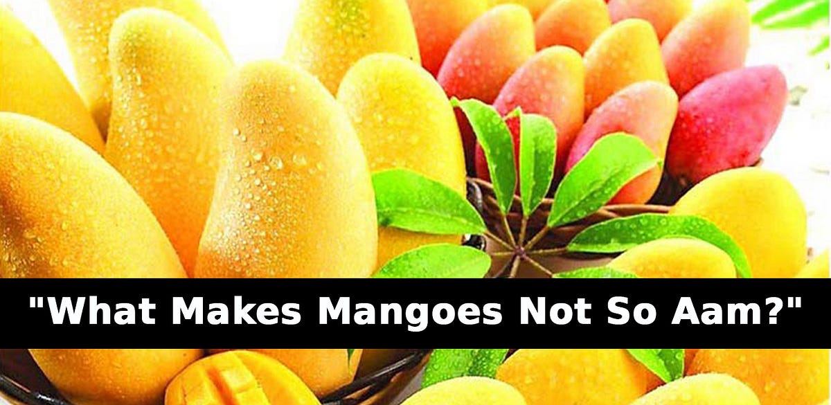 What Makes Mangoes Not so AAM?. For most people, mangoes are akin to