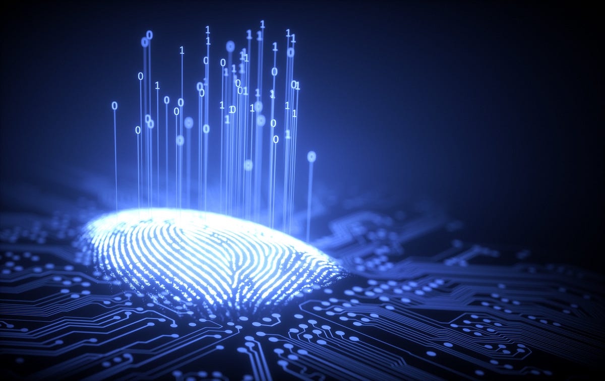 An Implementation of Fingerprint Detection with Python | by Vyshnavi ...