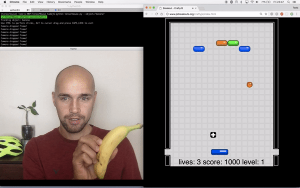 Move Your Cursor with Webcam Using Tensorflow Object Detection API | by  Tadej Magajna | Towards Data Science