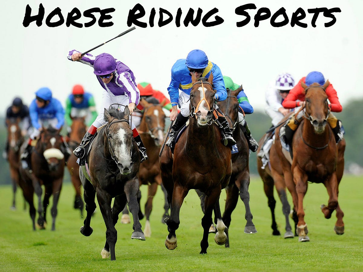 Equestrian Sports or Horse Riding Sport | by Richard Beese | Medium