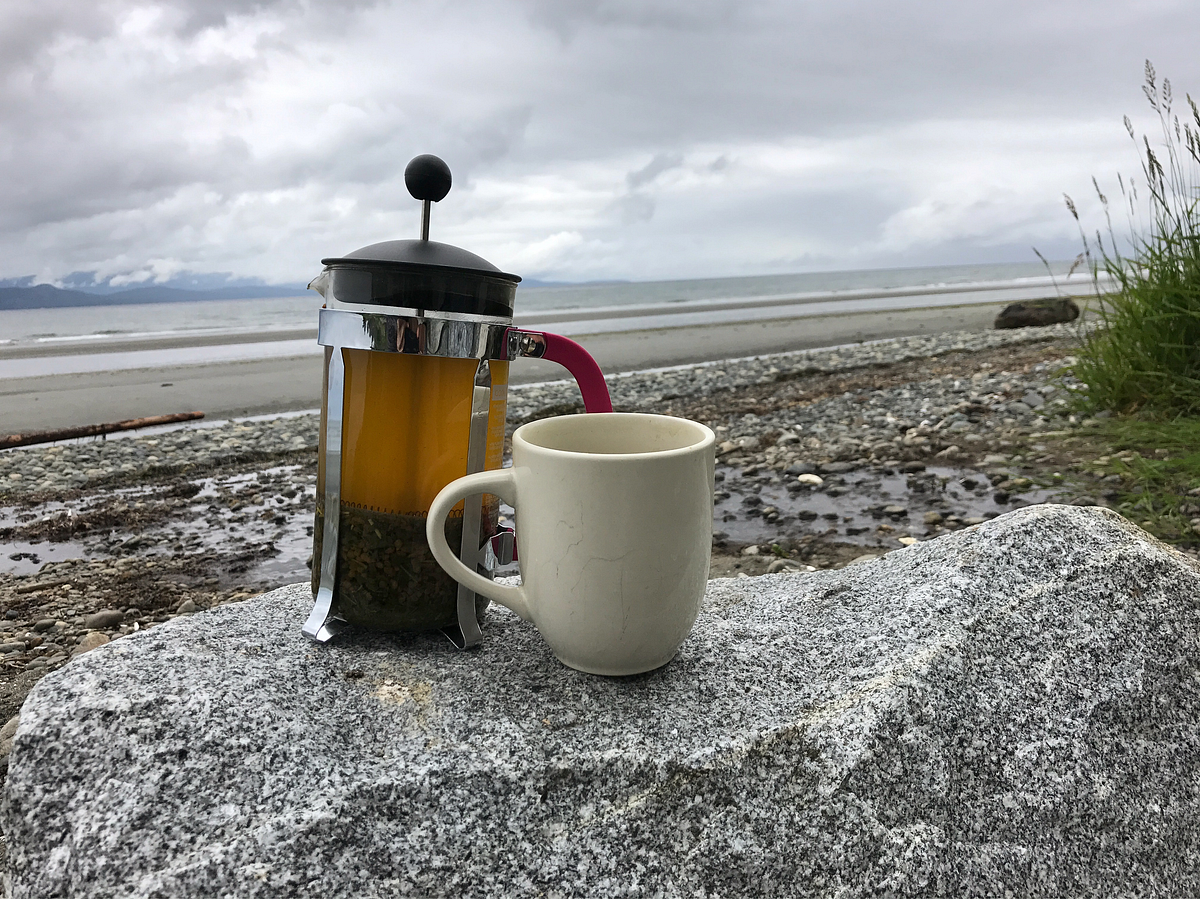 3 Benefits of Green Tea — My preferred pre-workout beverage | by Troy Parsons | Medium 3 Benefits of Green Tea — My preferred pre-workout beverage | by Troy Parsons | Medium