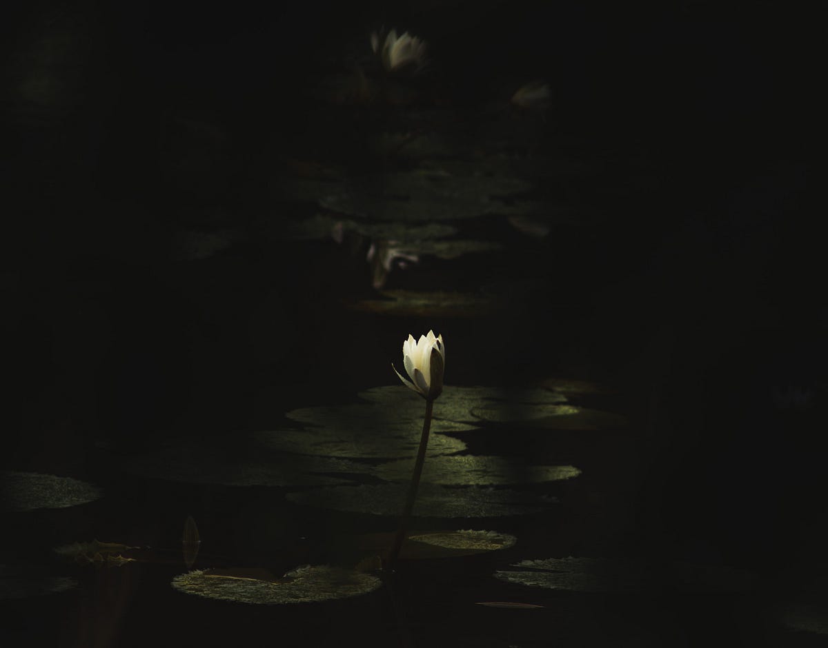 the-pond-of-loss-a-short-tale-on-life-of-a-factory-by-pretheesh