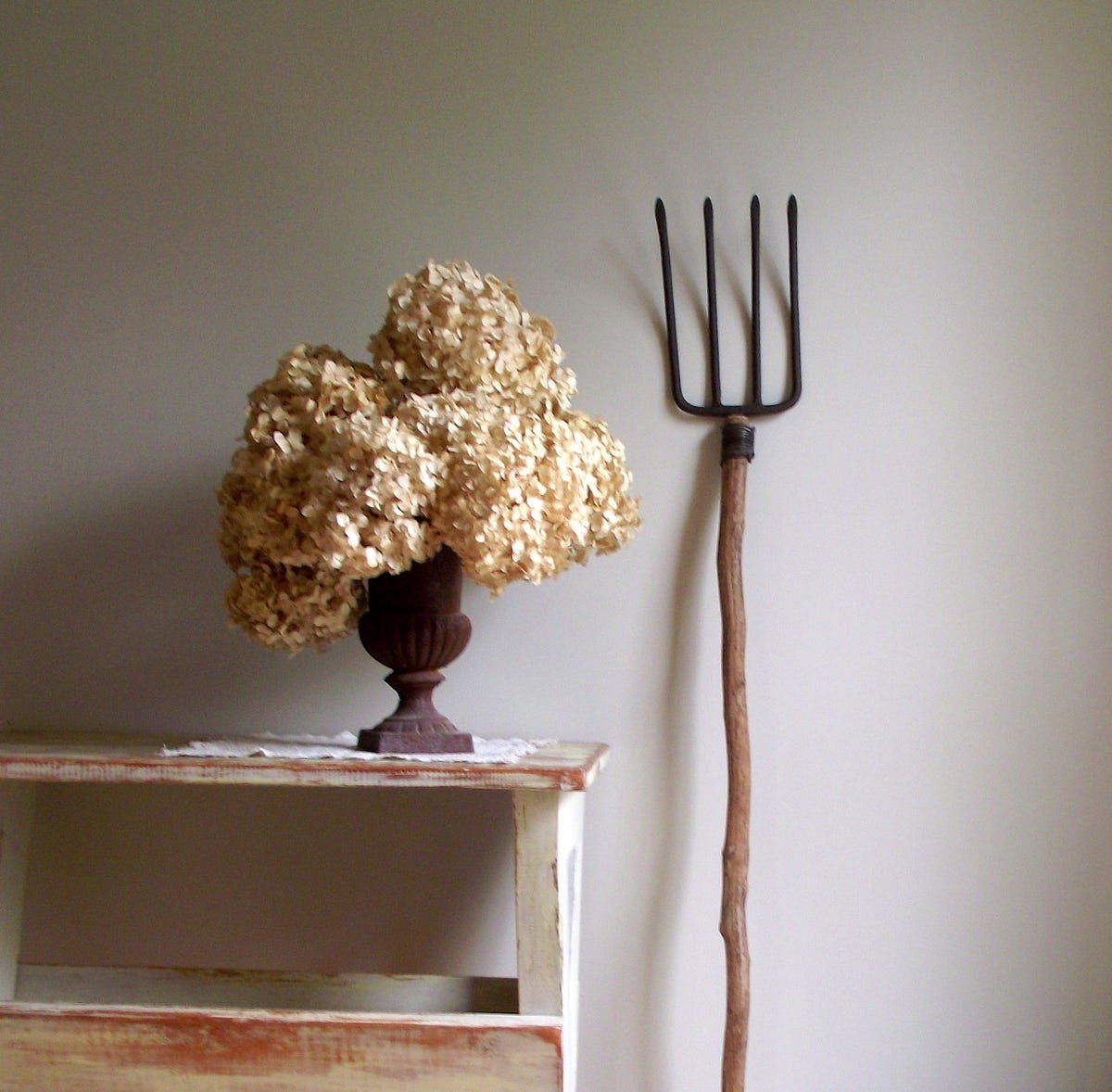 Pitchforks Are Coming at Jan Mann blog