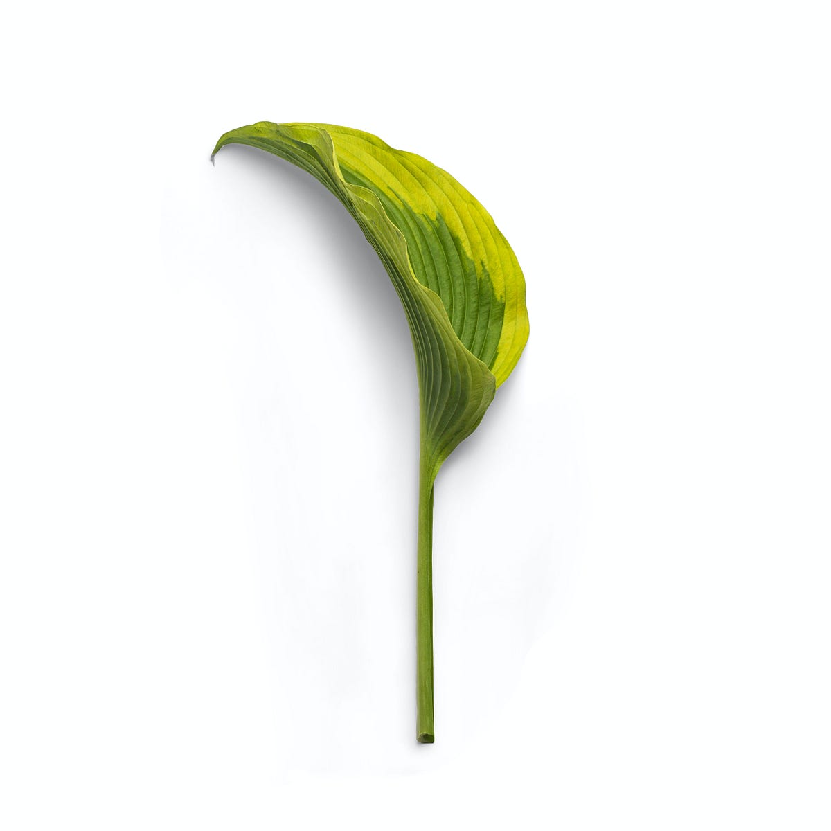 Java Spring Boot First App Step By Step To Your First Spring App By