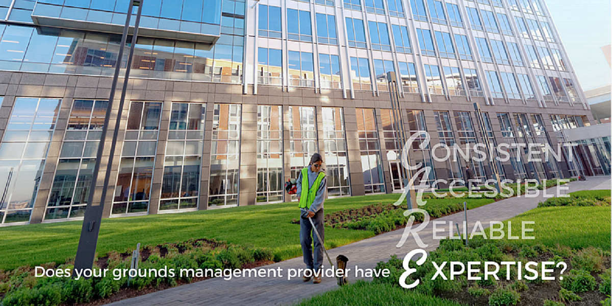Does Your Grounds Management Provider Have Expertise? by Schill