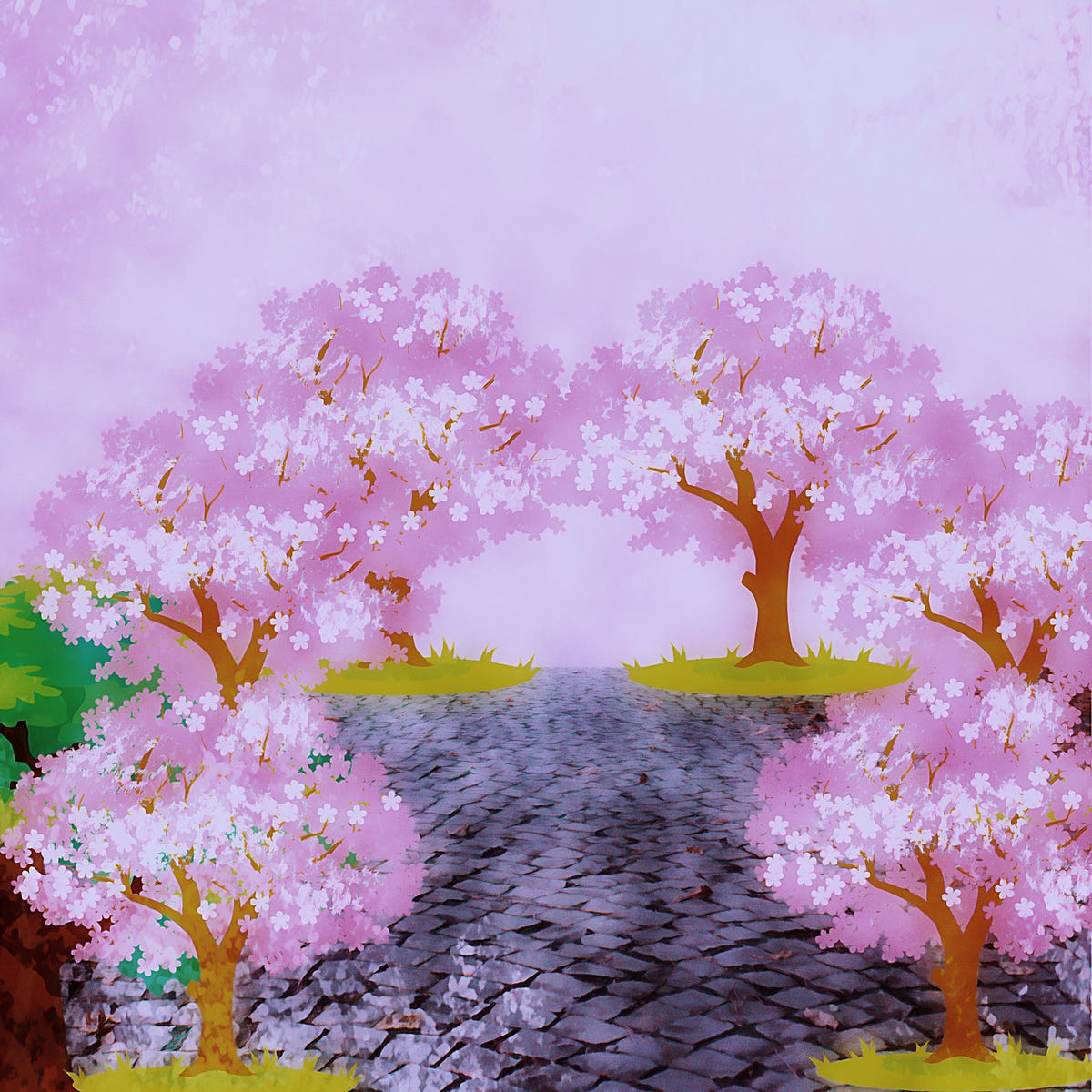 Sakura. How you make my heart soar by K.Kumar For Awe Medium