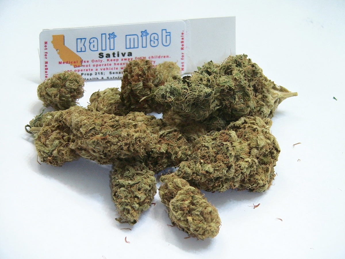 Know About Kali Mist Cannabis Strain 1 415 Marykir Medium Know About Kali Mist Cannabis Strain 1 415 Marykir Medium
