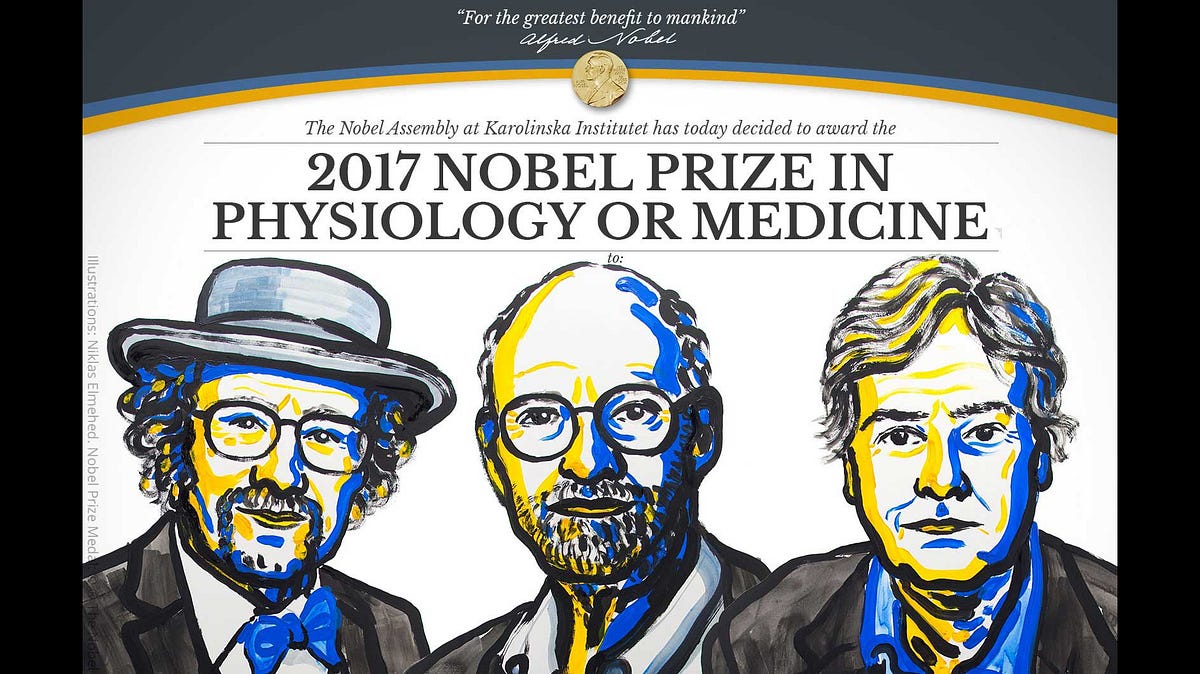 Modern for Policymakers Lecture Series Lecture 2 Drosophila