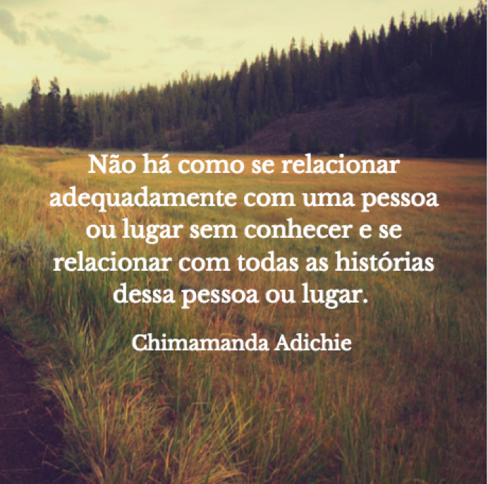 Resultado de imagem para perigo de uma história única