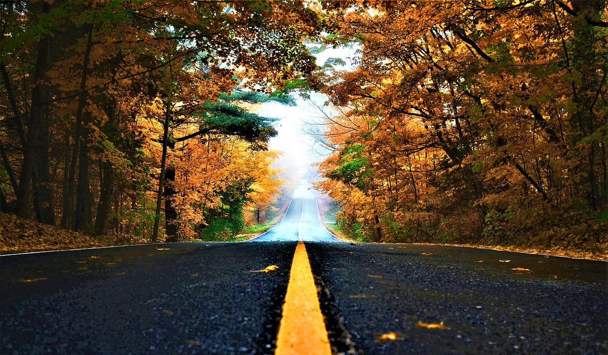 How to Embrace a New Perspective About Your Life and Why It Is Important