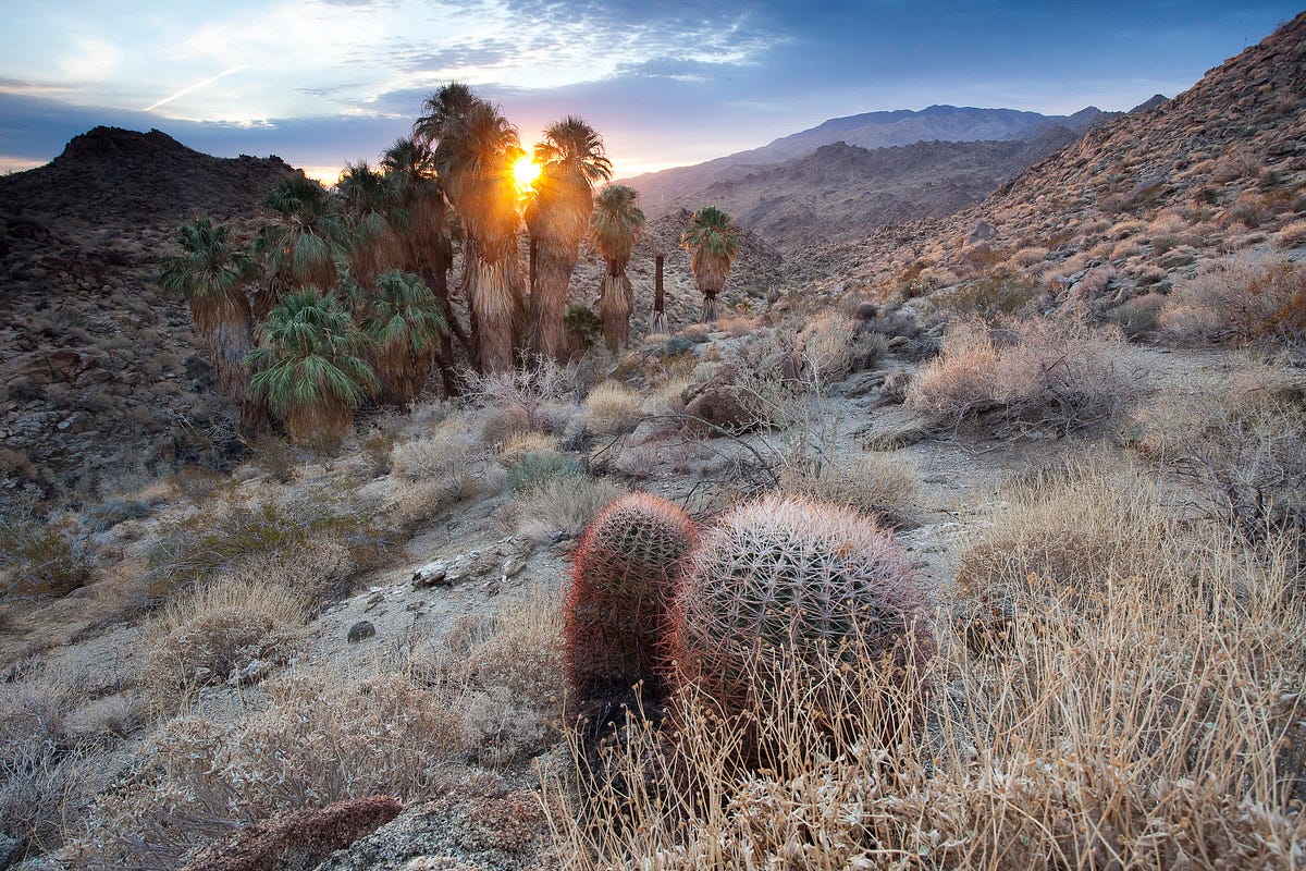Developing the California Desert