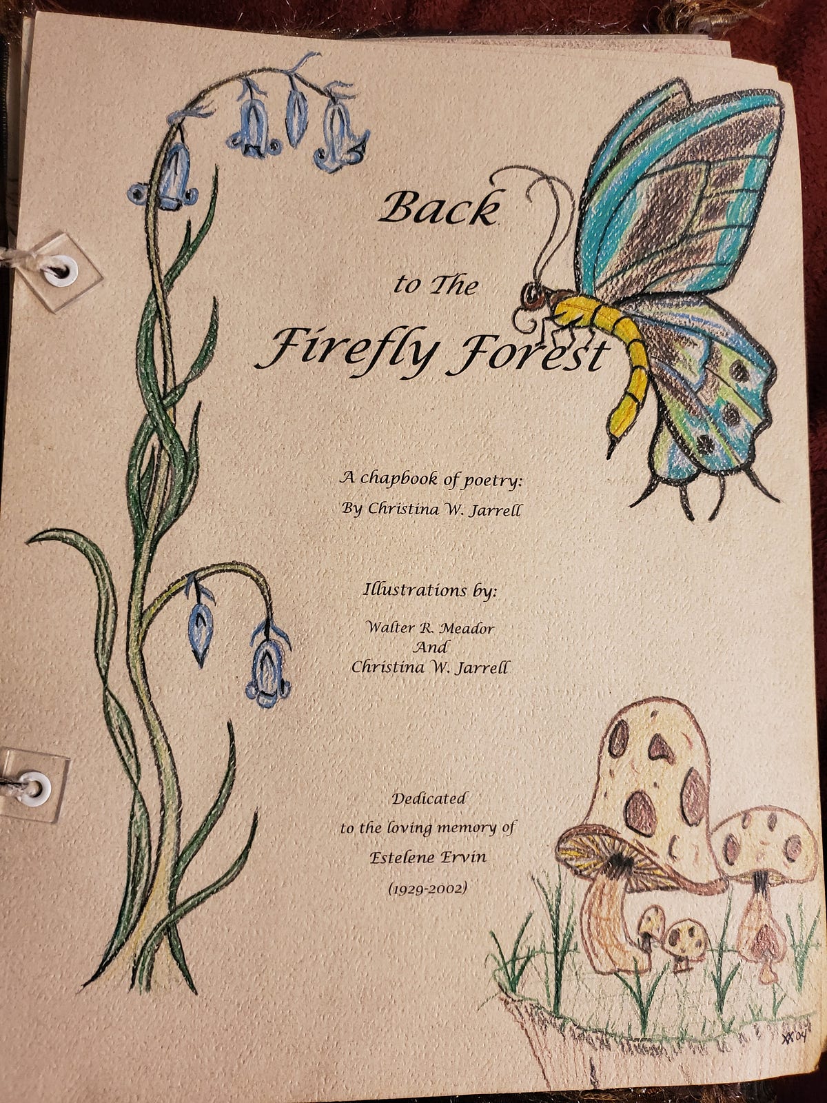 All Poets Should Create a Handmade Poetry Chapbook by Christina M