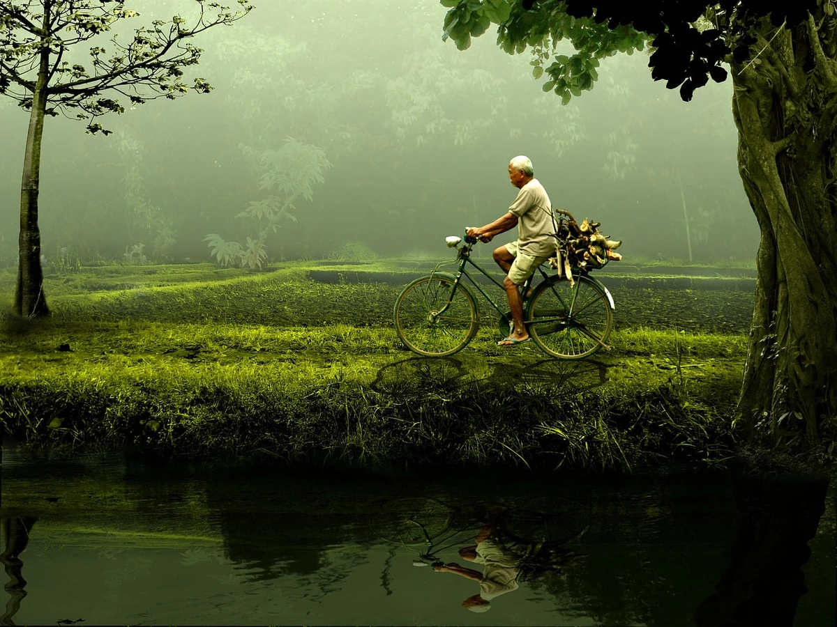 goto bike