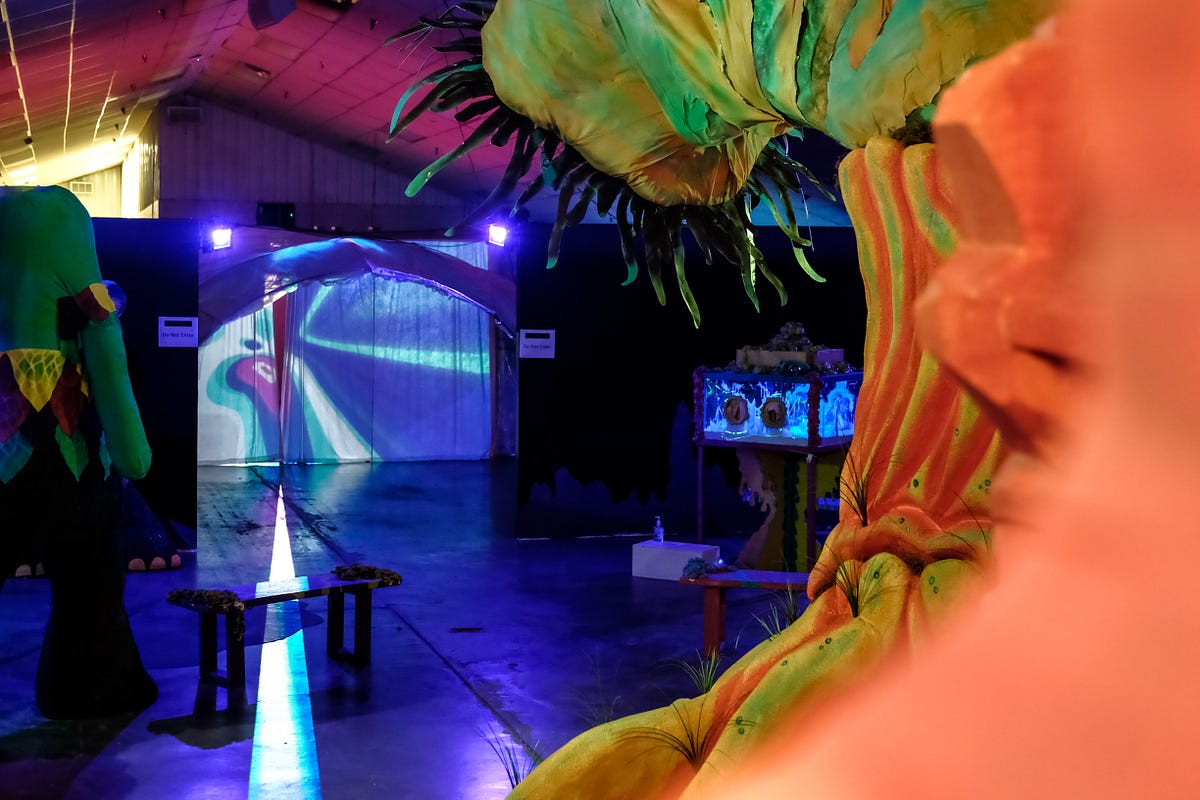 Atlanta Otherworld Encounter. The immersive art exhibition from… by