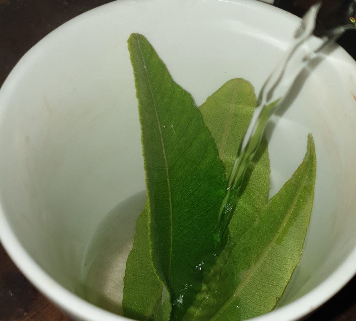Lemon Myrtle Tea. An Australian superfood that is easy to… by Jane Grows Garden Rooms (Jane