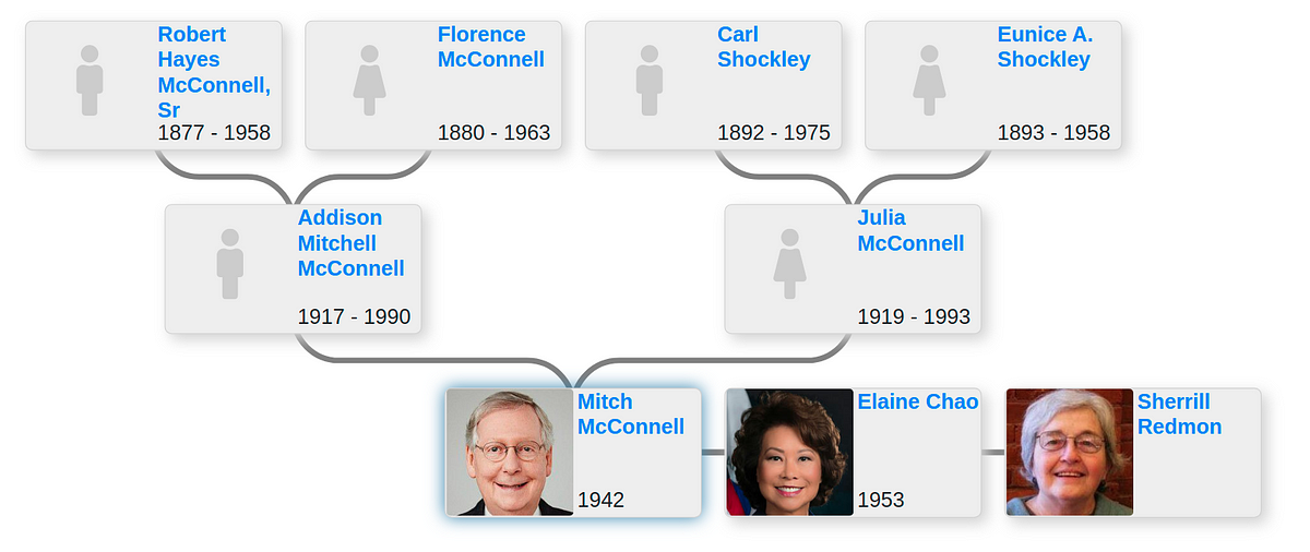 Family Tree Of Mitch Mcconnell Addison Mitchell Mcconnell Iii Is An By Enti Family Trees Jun 2021 Medium