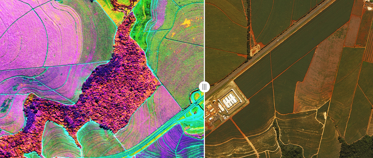 multispectral camera for agriculture