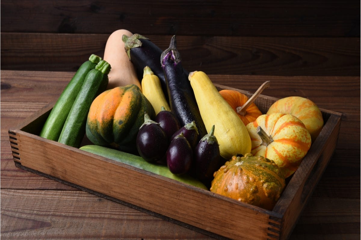 Nightshade Vegetables Do They Make Arthritis Worse By James Woison nightshade-vegetables-do-they-make-arthritis-worse-by-james-woison