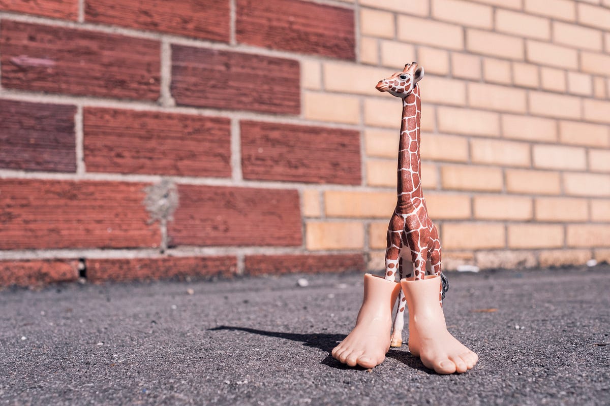 Full Stack Django Quick Start With JWT Auth And React Redux Part I 