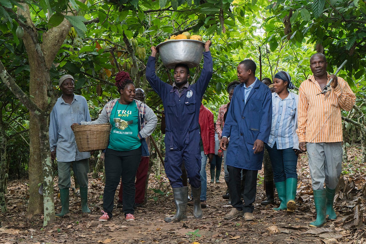The Role of Industry in Driving Cocoa Sustainability through
