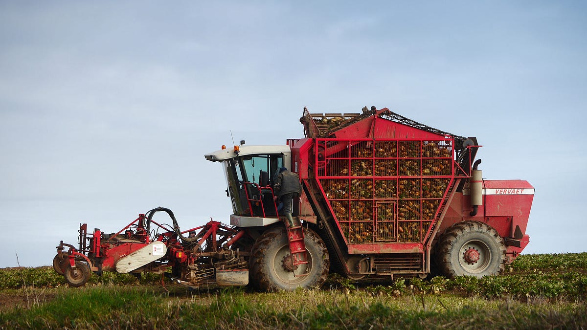The benefits of beets on cardiovascular health by Carol Yu Medium