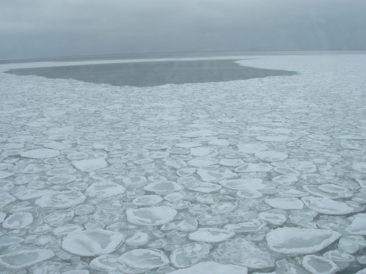 It’s So Cold in Chicago That Lake Michigan Is Covered in Ice Pancakes